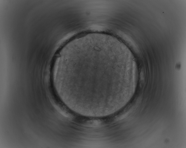 X0000101110492200807171940