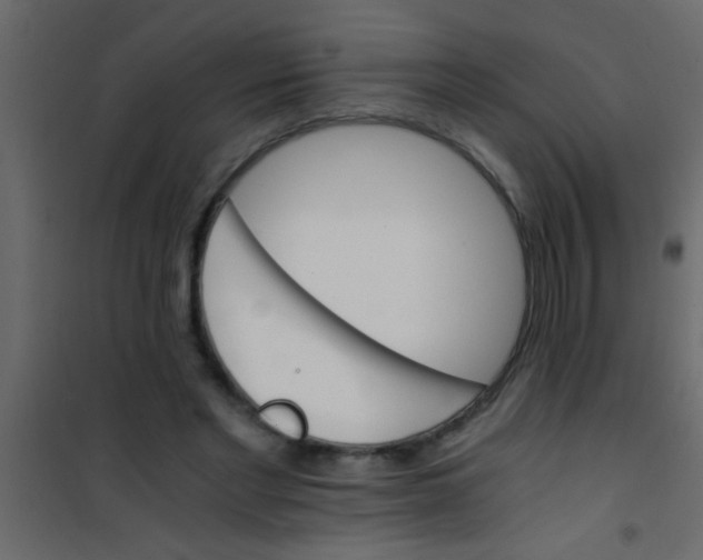 X0000101110493200807171940