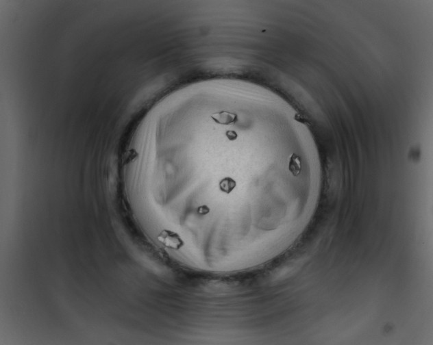 X0000101110494200807171940