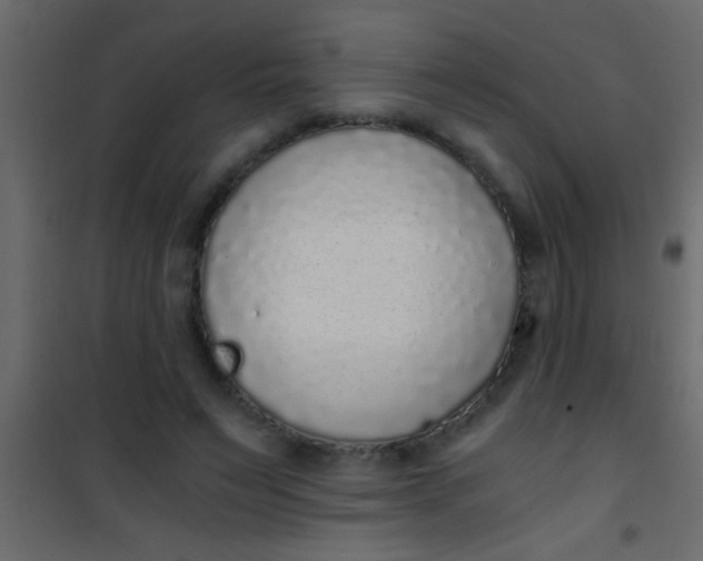 X0000101110495200807171940