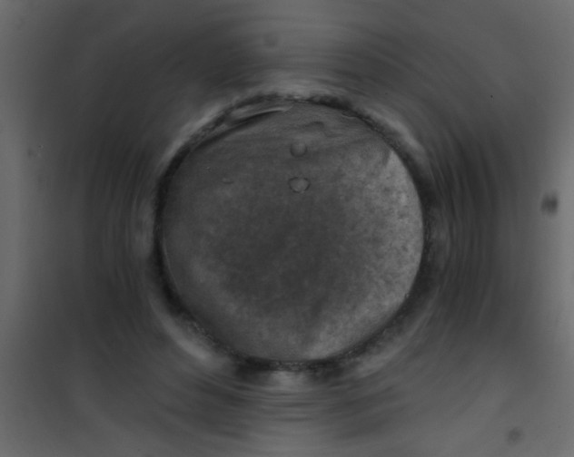 X0000101110496200807171940