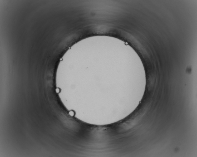 X0000101110497200807171940