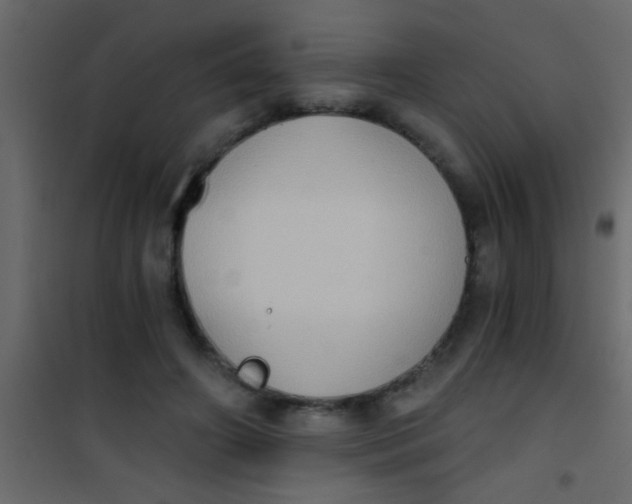 X0000101110498200807171940