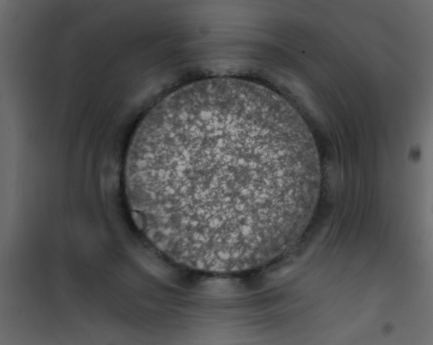 X0000101110499200807171940