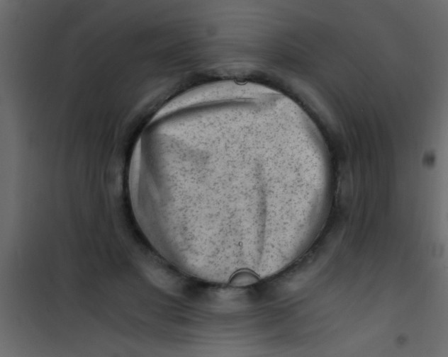 X0000101110501200807171940