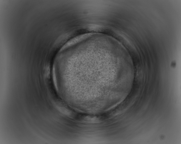 X0000101110502200807171940
