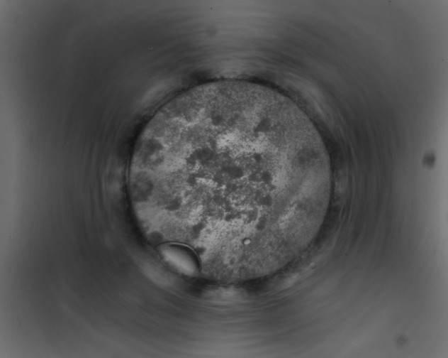 X0000101110503200807171939