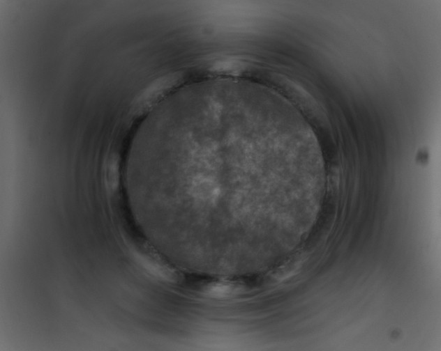 X0000101110504200807171939