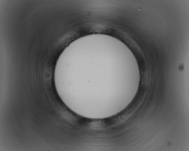 X0000101110505200807171939