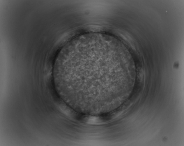 X0000101110507200807171939