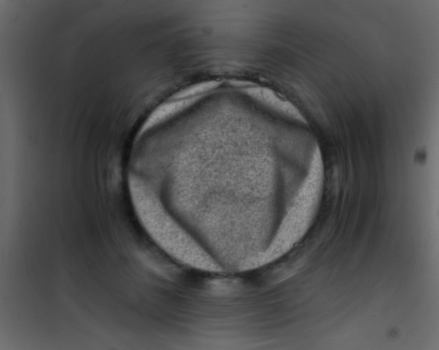 X0000101110508200807171939