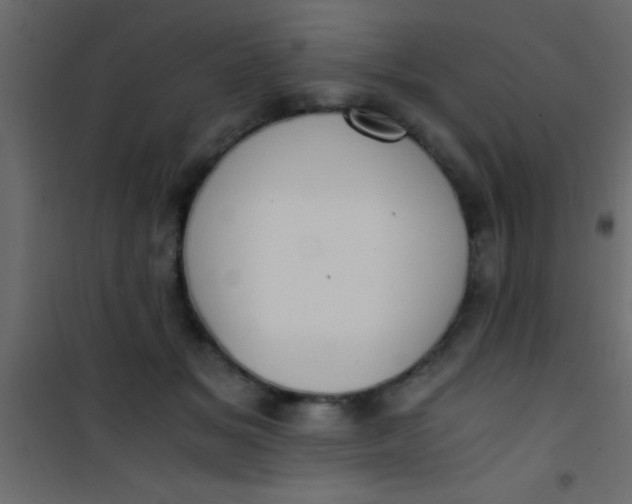 X0000101110509200807171939