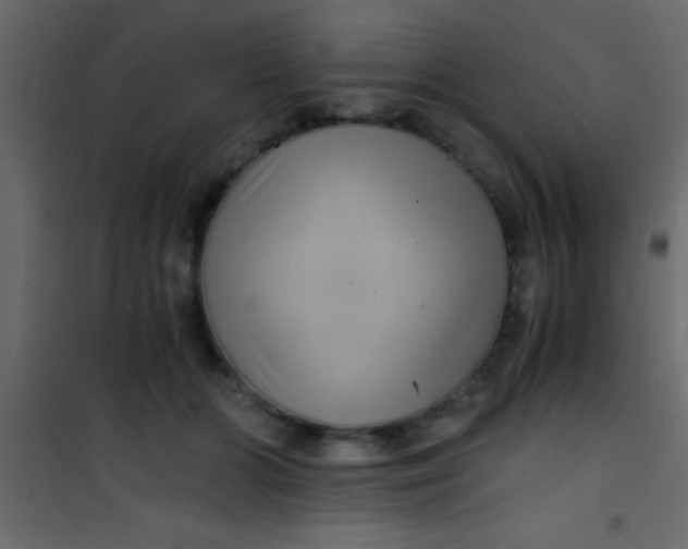 X0000101110510200807171939