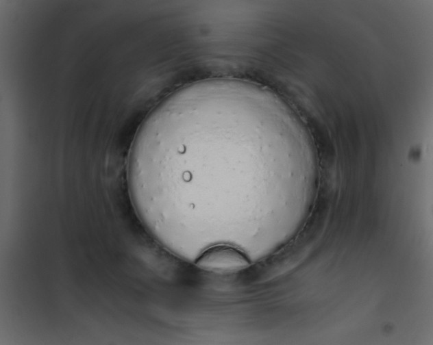 X0000101110511200807171939