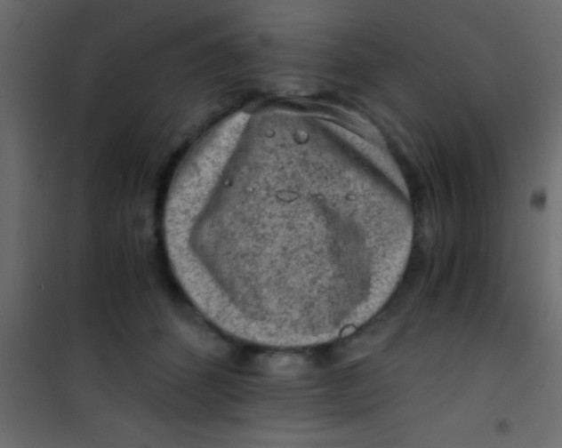 X0000101110512200807171939