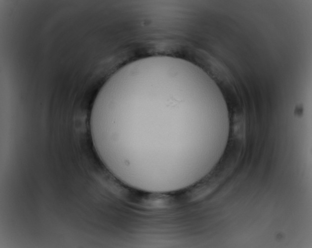 X0000101110514200807171939