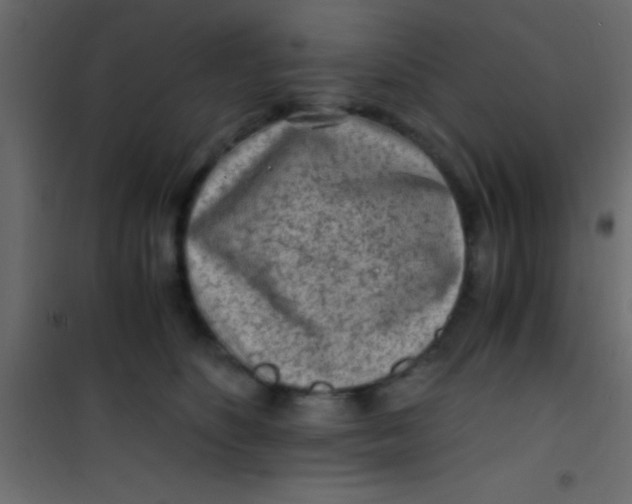 X0000101110516200807171939
