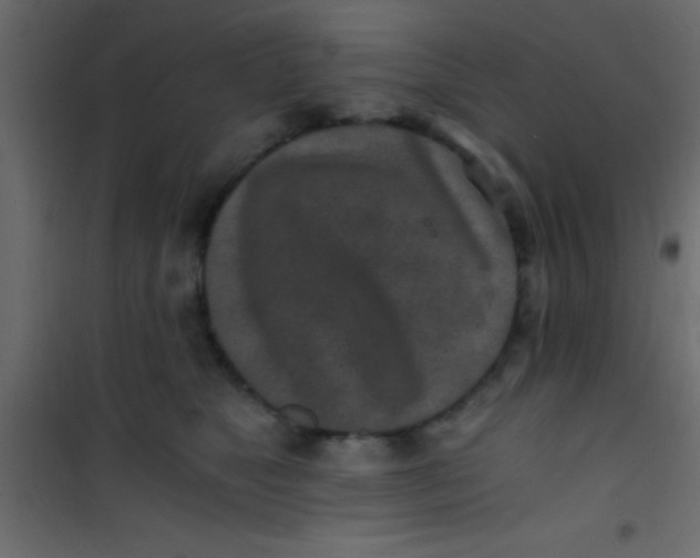 X0000101110517200807171939