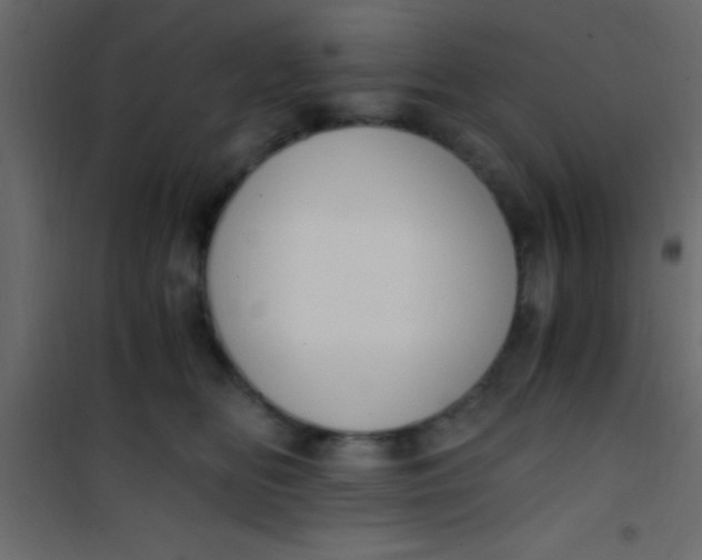 X0000101110518200807171939