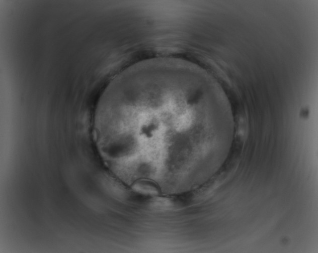 X0000101110519200807171939
