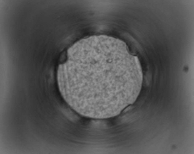 X0000101110520200807171939
