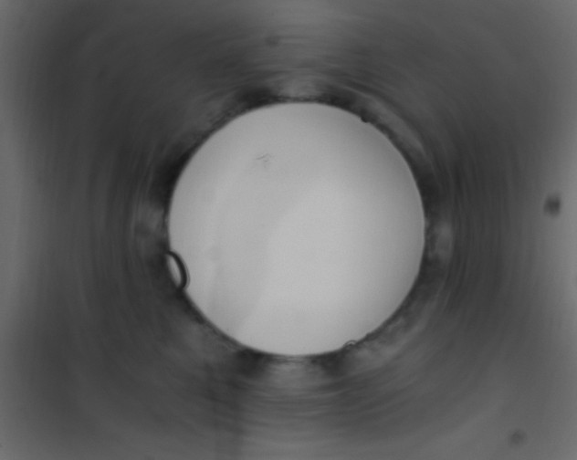 X0000101110521200807171939