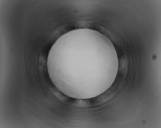 X0000101110522200807171939