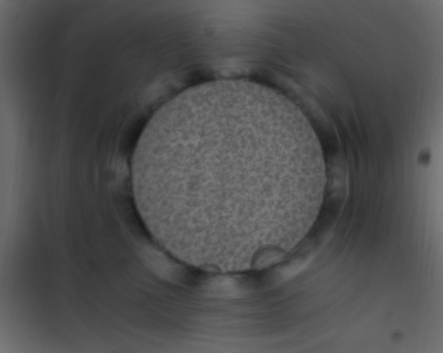 X0000101110523200807171939