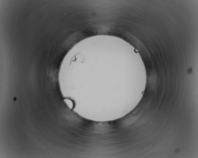 X0000101110525200807171939