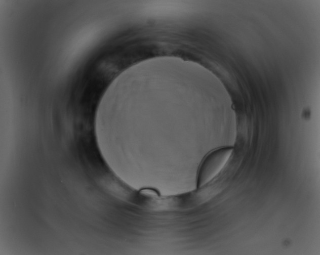 X0000101110526200807171939
