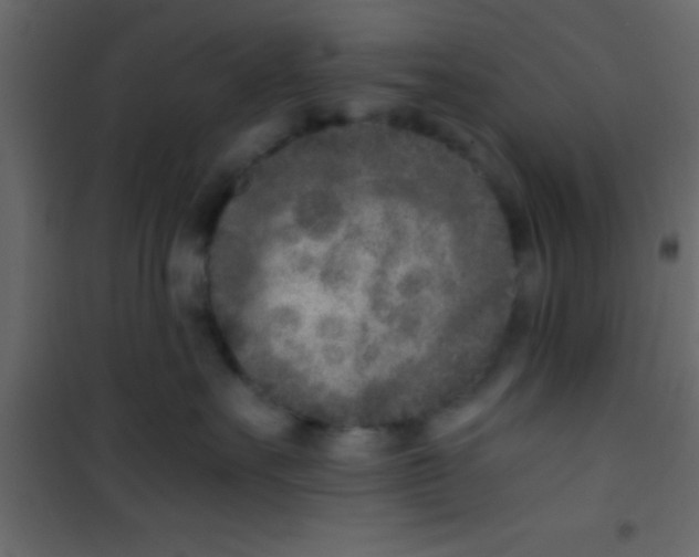 X0000101110527200807171939