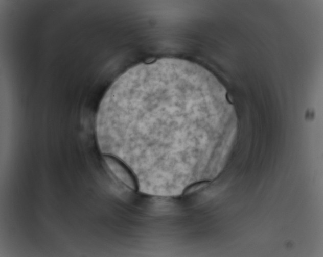 X0000101110528200807171939