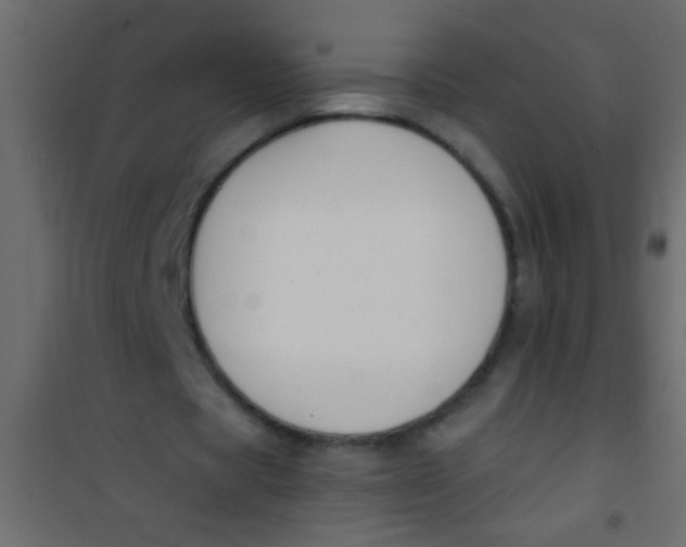 X0000101110529200807171938
