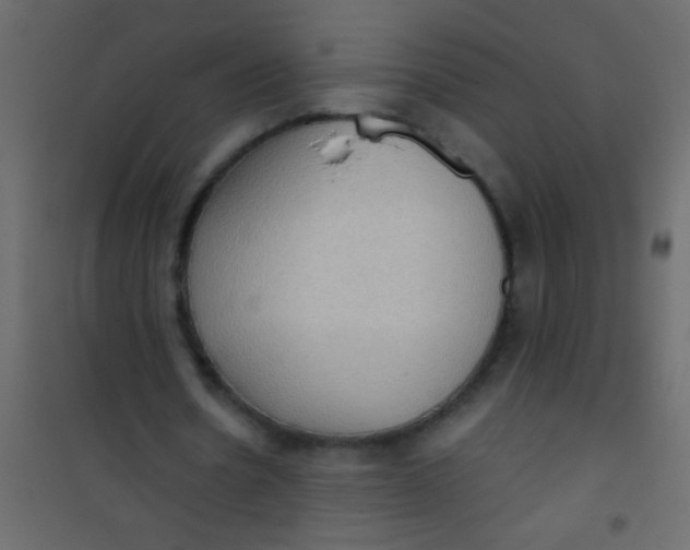 X0000101110530200807171938