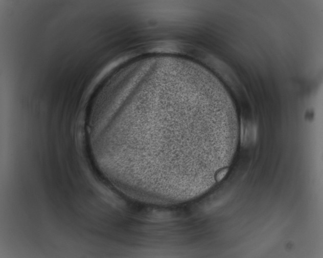 X0000101110531200807171938