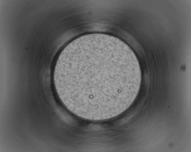 X0000101110534200807171938