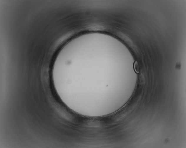 X0000101110535200807171938