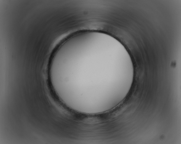 X0000101110536200807171938