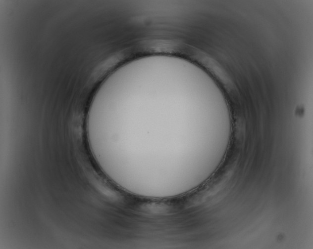 X0000101110537200807171938