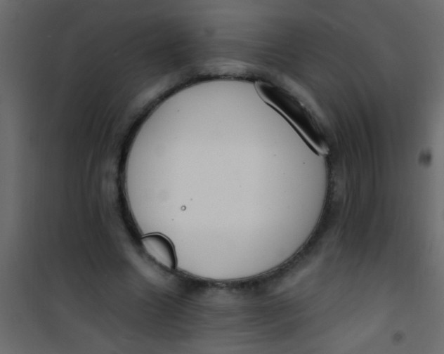 X0000101110538200807171938