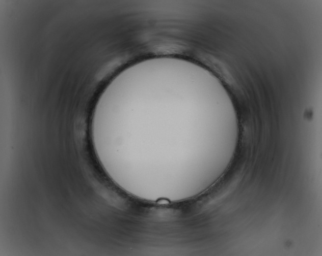 X0000101110539200807171938