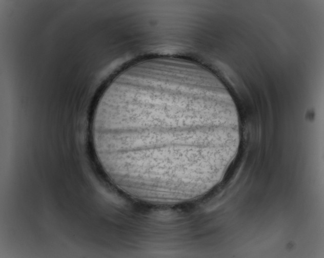X0000101110540200807171938