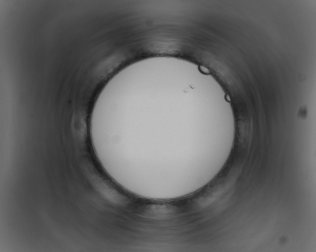X0000101110541200807171938