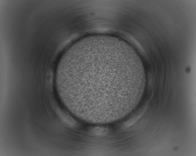 X0000101110542200807171938