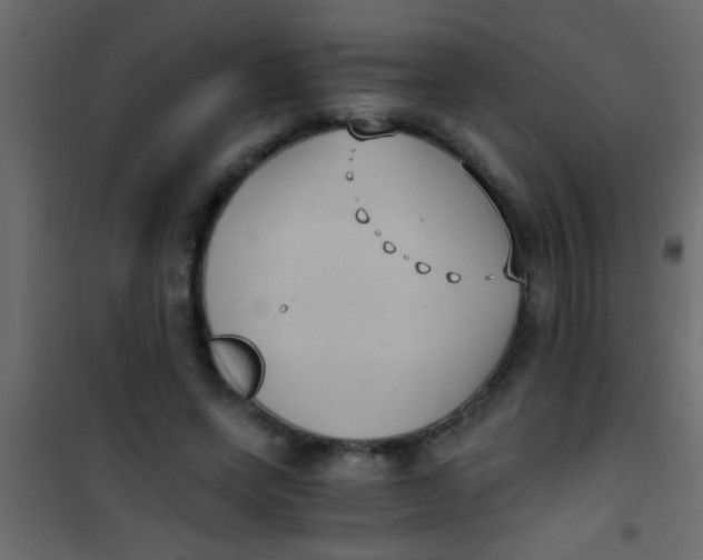 X0000101110543200807171938