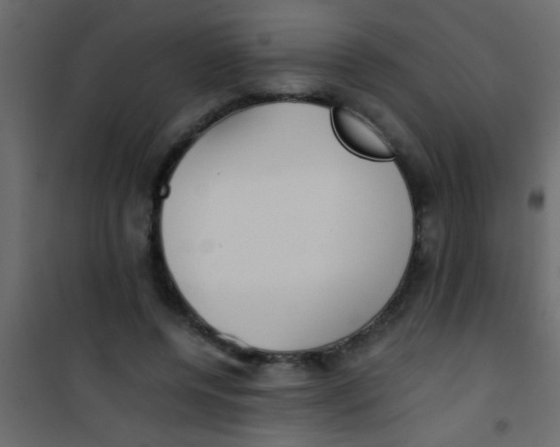 X0000101110544200807171939