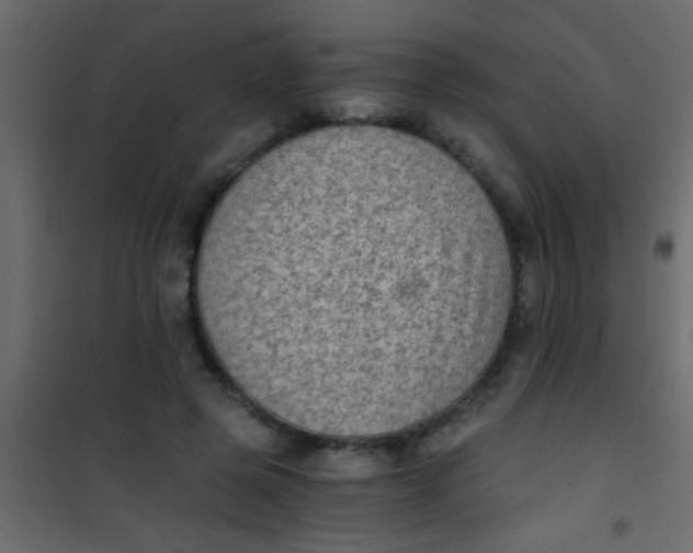 X0000101110545200807171939