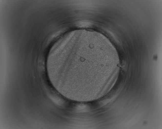 X0000101110547200807171939