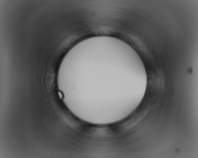 X0000101110548200807171939