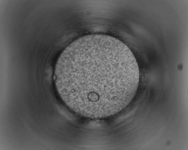 X0000101110550200807171939